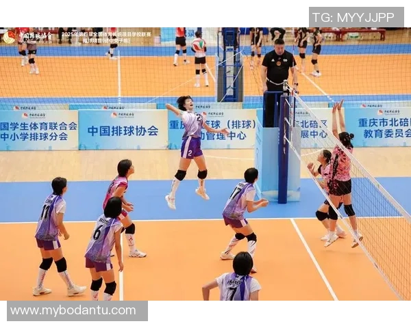 赛后分析:西安排球队与北京排球队技术对比与战术探讨